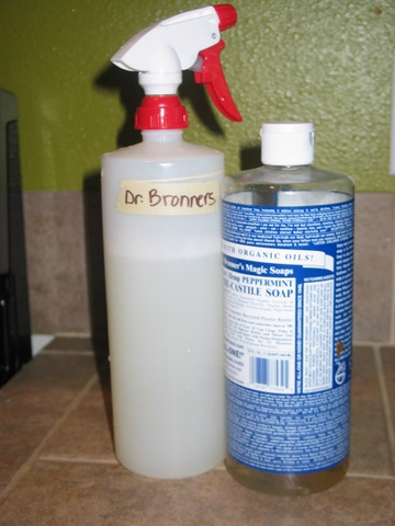 Top 5 uses for Dr Bronner's Sal Suds, Is Sal Suds Safe?