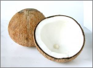 coconut