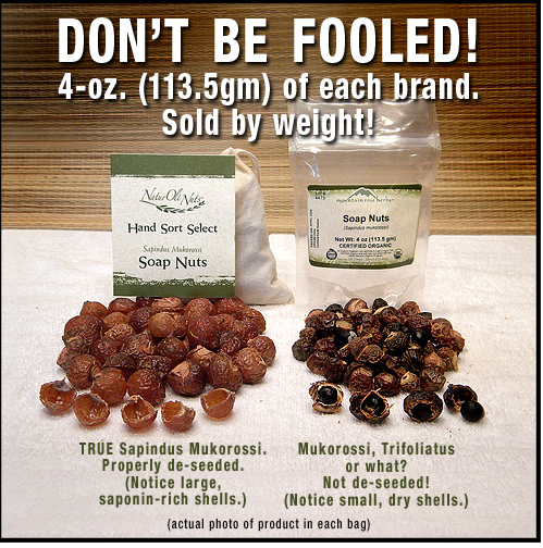 Soap Nuts FAQ's | Passionate Homemaking ARCHIVE