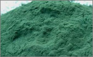 spirulina