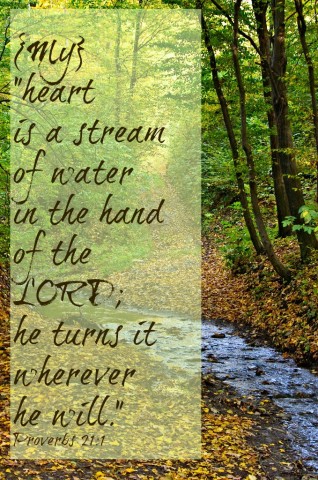 the Lord directs the heart