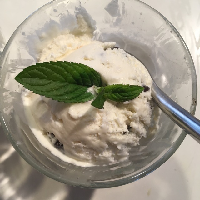 Cuisinart ice cream maker recipes mint chocolate discount chip